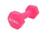 Manubrio In Neoprene Da 0,5 Kg - Perfetto Per Il Fitness E L'aerobica