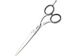 Jaguar Silver Line Ocean Forbici Da Parrucchiere Lunghezza 5,75 Pollici 0,04203 Kg