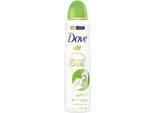 Antitraspirante Advanced Care Go Fresh Cetriolo E Tè Verde 72H Pro žEny 150 - Dove
