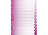 10X Brunnen 106659526 Raccoglitore Ad Anelli Indice Codice Colore, A4, 12 Fogli, Rosa