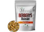 Berberis Aristata 500Mg 100 Compresse - Estratto Di Radice Di Berberina - Forest Vitamin
