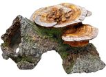 Aqua Ornaments "HolzhÖHle Mit Pilzen"" 18 X 19 X 10 Cm"