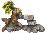 Aqua Ornaments "Bonsai"" 19 X 9 X 13 Cm"