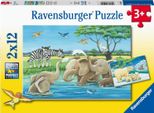 Bambini Animali Di Tutto Il Mondo Ravensburger 05095