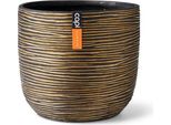 Capi Europe - Nastro Per Vaso - Oro - 24X21
