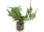 Pianta Artificiale Countryfield Pteropsida In Vaso 19 Cm Verde Assortito | 2 Pz