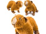 Capibara Peluche Mascotte Grande Orsacchiotto Giocattolo Regalo Peluche Per Un Bambino