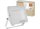 Ledvance Floodlight Compact Proiettore 50W 840 Sym 100 Bianco 5000Lm 4000K Bianco Neutro IP65 4058075574915