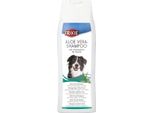 Aloe Vera-Shampoo
