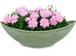Fioriera Ovale Grande 39 Cm Per Esterni Ciotola Decorativa Verde