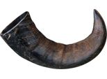 Corno Da Masticare Di Bufalo, Confezionato
