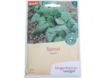 Spinaci - Verdil