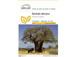 Saflax - Baobab Africano - 6 Semi - Adansonia