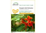 Saflax - Orgoglio Delle Barbados - 10 Semi - Caesalpinia