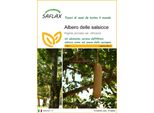 Saflax - Albero Delle Salsicce - 10 Semi - Kigelia