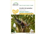 Saflax - Uccello Del Paradiso - 5 Semi - Strelitzia