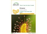 Saflax - Drosera - 200 Semi - Drosera