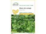 Saflax - Albero Dei Ventagli - 4 Semi - Ginkgo