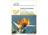 Saflax - Uccello Del Paradiso - 5 Semi - Strelitzia