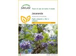 Saflax - Jacaranda - 50 Semi - Jacaranda