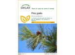Saflax - Pino Giallo - 20 Semi - Pinus