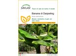 Saflax - Banana Di Darjeeling - 5 Semi - Musa