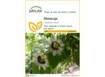 Saflax - Maracuja - 40 Semi - Passiflora