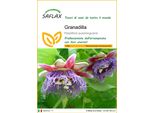 Saflax - Granadilla - 12 Semi - Passiflora