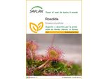 Saflax - Rosolida - 50 Semi - Drosera