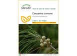 Saflax - Casuarina Comune - 200 Semi - Casuarina
