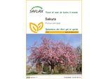 Saflax - Sakura - 30 Semi - Prunus