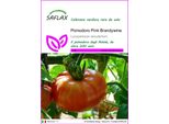 Saflax - Pomodoro Pink Brandywine - 10 Semi - Lycopersicon