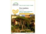 Saflax - Pino Marittimo - 6 Semi - Pinus
