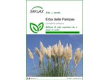 Saflax - Erba Delle Pampas - 200 Semi - Cortaderia