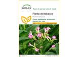 Saflax - Pianta Del Tabacco - 250 Semi - Nicotiana
