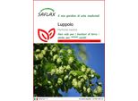 Saflax - Luppolo - 50 Semi - Humulus