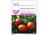 Saflax - Pomodoro Rosa Di Berna - 10 Semi - Lycopersicon