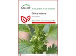 Saflax - Ortica Minore - 150 Semi - Urtica