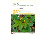 Saflax - Alloro - 6 Semi - Laurus