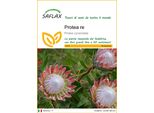 Saflax - Protea Re - 5 Semi - Protea