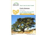 Saflax - Cedro Libanese - 20 Semi - Cedrus