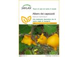 Saflax - Albero Dei Capezzoli - 10 Semi - Solanum