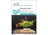 Saflax - Melograno Nano - 50 Semi - Punica