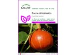 Saflax - Zucca Di Hokkaido - 10 Semi - Cucurbita