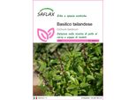 Saflax - Basilico Tailandese - 200 Semi - Ocimum
