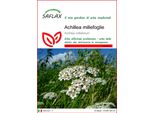 Saflax - Achillea Millefoglie - 200 Semi - Achillea
