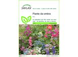 Saflax - Piante Da Ombra - 1000 Semi - Mix