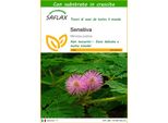 Saflax - Sensitiva - 70 Semi - Con Substrato - Mimosa