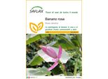 Saflax - Banano Rosa - 8 Semi - Musa