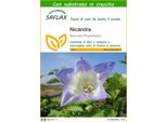 Saflax - Nicandra - 100 Semi - Con Substrato - Nicandra